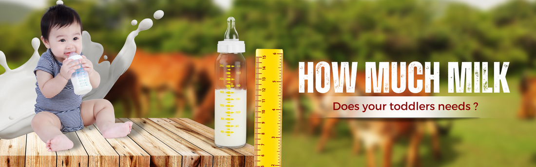 How much milk you should give to toddlers?