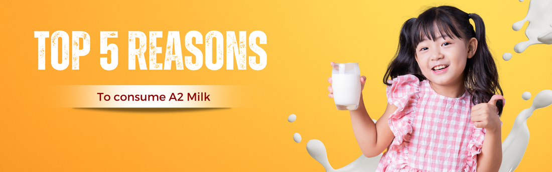 Top 5 reasons to consumes A2 milk